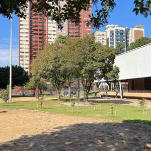 Fruit trees project, curitiba, paraná, brazil, green, soil, mata atlântica